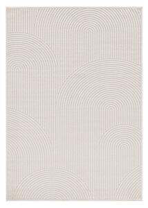Koberec FARASHE BLOMARD