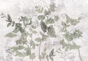 Fototapeta - Rostliny v omítce (245x170 cm)