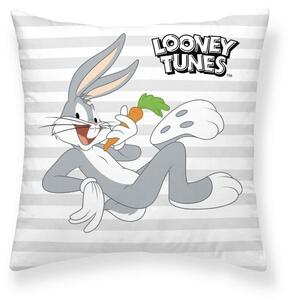 1125 Povlak na polštář Looney Tunes 45 x 45 cm