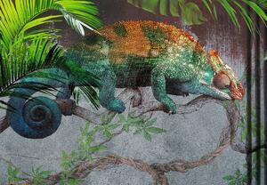 Fototapeta - Chameleon (245x170 cm)
