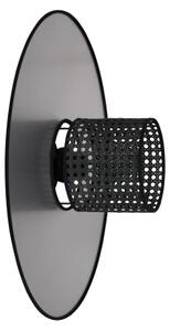 Duolla - Nástěnné svítidlo TOKYO RATTAN 1xE27/15W/230V pr. 50 cm stříbrná/černá