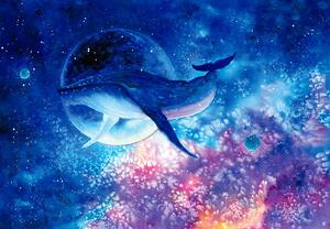 Fototapeta - Malovaná velryba ve vesmíru (245x170 cm)