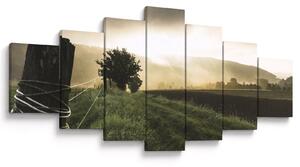 Obraz louky (210x100 cm)