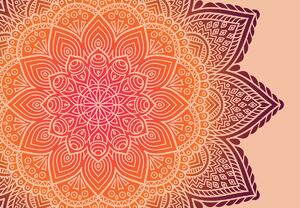 Fototapeta - Mandala světlá (245x170 cm)