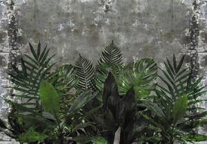 Fototapeta - Betonová zeď s rostlinami (245x170 cm)