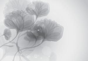 Fototapeta - Abstraktní květiny (245x170 cm)