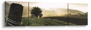 Obraz louky (170x50 cm)