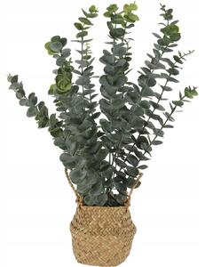 UMĚLÁ ROSTLINA V JUTOVÉM KOŠÍKU EUKALYPTUS ZELENÝ 50 cm DEKORACE