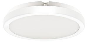 Stropní LED svítidlo Vera, 1x LED 24w, 4000k, w