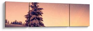 Obraz zasněženého stromu na louce (170x50 cm)
