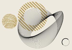 Fototapeta - Abstraktní linie a kruhy (245x170 cm)