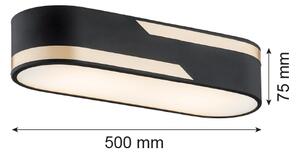 Argon 6001 - Stropní svítidlo TONI 3xE27/15W/230V černá/zlatá