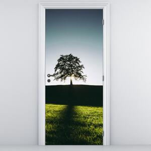 Fototapeta na dveře - Strom (95x205cm)