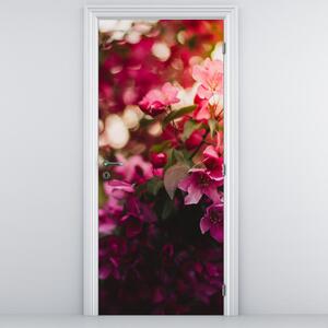 Fototapeta na dveře - Květy rozvinutého keře (95x205cm)