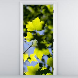 Fototapeta na dveře - Javorové listy (95x205cm)
