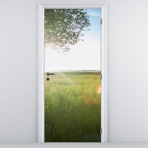 Fototapeta na dveře - Letní louka (95x205cm)