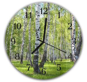 Nástěnné hodiny kulaté pr.30cm břízový les - plexi