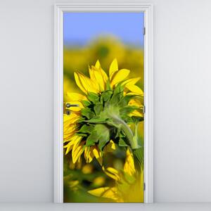 Fototapeta na dveře - Slunečnice (95x205cm)