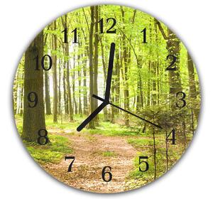 Nástěnné hodiny kulaté pr.30cm listnatý les a pěšina - plexi