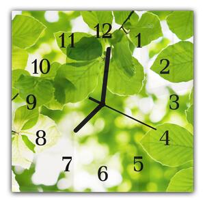 Nástěnné hodiny 30x30cm větev zelené listí buk - plexi