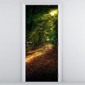 Fototapeta na dveře - Lesní cesta (95x205cm)