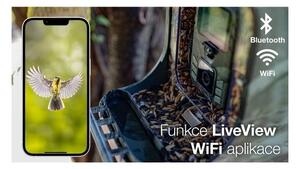 Evolveo - StrongVision BirdFeeder - chytré krmítko pro ptáky s kamerou