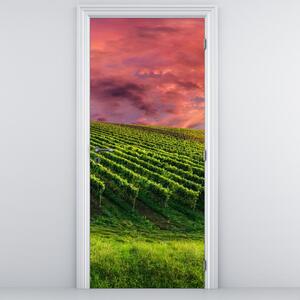 Fototapeta na dveře - Vinohrad s barevným nebem (95x205cm)