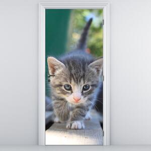 Fototapeta na dveře - Koťátko (95x205cm)
