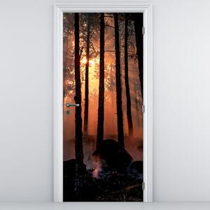 Fototapeta na dveře - Temný les (95x205cm)