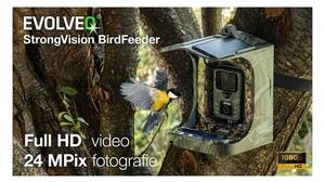 Evolveo - StrongVision BirdFeeder - chytré krmítko pro ptáky s kamerou