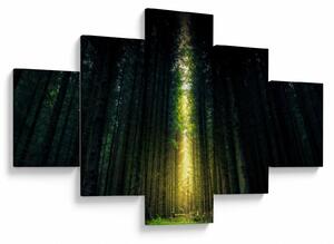 Obraz temného lesa (125x70 cm)