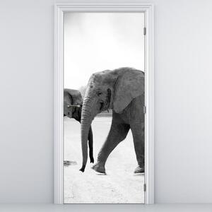 Fototapeta na dveře - Černobílí sloni (95x205cm)