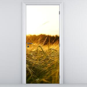 Fototapeta na dveře - Orosená tráva (95x205cm)