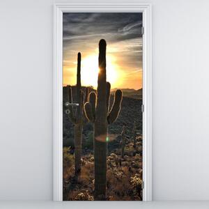 Fototapeta na dveře - Kaktusy ve slunci (95x205cm)