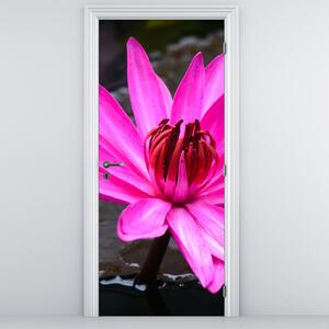 Fototapeta na dveře - Růžový květ (95x205cm)