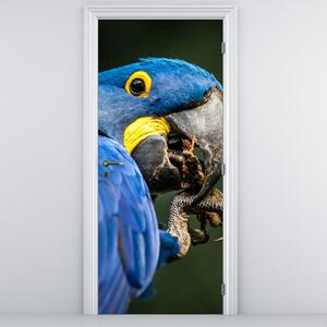 Fototapeta na dveře - Papoušek (95x205cm)