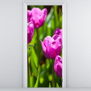 Fototapeta na dveře - Tulipány na louce (95x205cm)