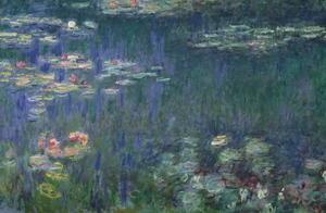 Monet, Claude - Obrazová reprodukce Waterlilies: Green Reflections, 1914-18, (40 x 26.7 cm)