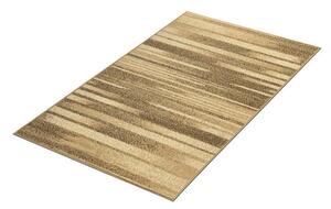 Kusový koberec Practica A1/BEB 80x150 cm