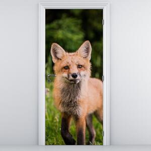 Fototapeta na dveře - Liška (95x205cm)