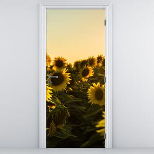 Fototapeta na dveře - Slunečnicové pole (95x205cm)