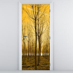 Fototapeta na dveře - Plantáž stromů (95x205cm)