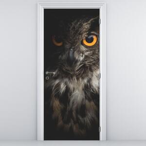 Fototapeta na dveře - Sova (95x205cm)