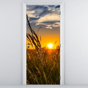 Fototapeta na dveře - Pole při západu slunce (95x205cm)