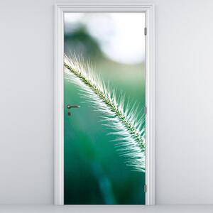 Fototapeta na dveře - Stéblo trávy (95x205cm)
