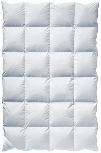 PÉŘOVÁ PŘIKRÝVKA, 135/200 cm, peří, prachové peří Billerbeck - Přikrývky, Online Only