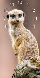 Nástěnné hodiny surikata 30x60cm I - plexi