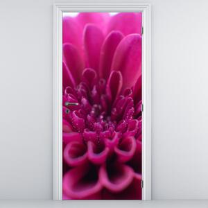 Fototapeta na dveře - Květina (95x205cm)