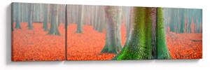 Obraz stromů (170x50 cm)