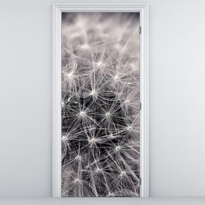 Fototapeta na dveře - Pampeliška (95x205cm)